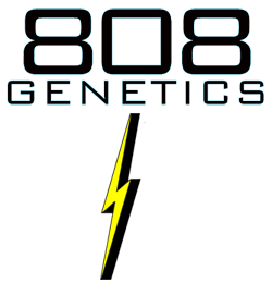 808 Genetics